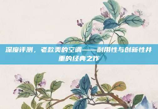 深度评测，老款美的空调——耐用性与创新性并重的经典之作
