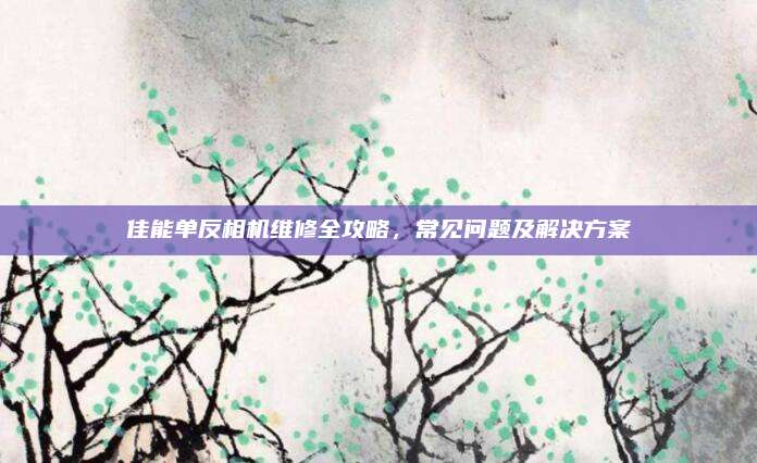 佳能单反相机维修全攻略,常见问题及解决方案