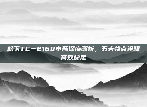 松下TC一2160电源深度解析，五大特点诠释高效稳定