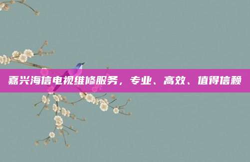 嘉兴海信电视维修服务,专业、高效、值得信赖