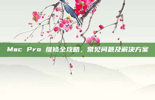 Mac Pro 维修全攻略，常见问题及解决方案