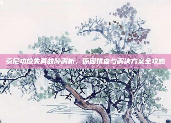 索尼功放失真故障解析，原因排查与解决方案全攻略