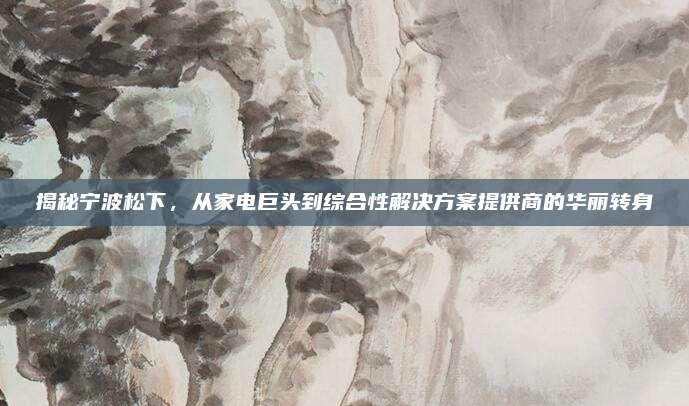 揭秘宁波松下，从家电巨头到综合性解决方案提供商的华丽转身