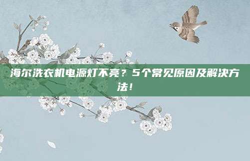 海尔洗衣机电源灯不亮？5个常见原因及解决方法！