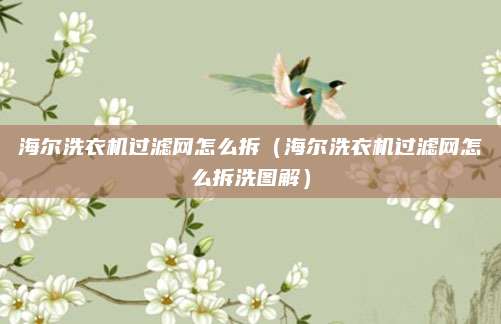 海尔洗衣机过滤网怎么拆(海尔洗衣机过滤网怎么拆洗图解)