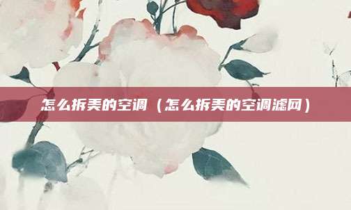 怎么拆美的空调（怎么拆美的空调滤网）