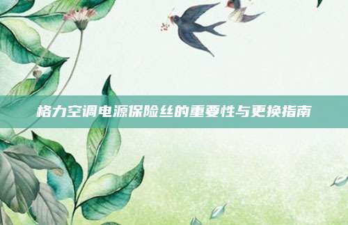 格力空调电源保险丝的重要性与更换指南