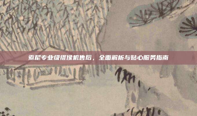 索尼专业级摄像机售后，全面解析与贴心服务指南