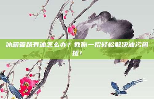 冰箱管路有油怎么办?教你一招轻松解决油污困扰!