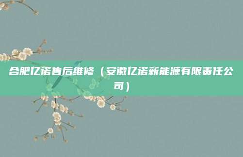 合肥亿诺售后维修（安徽亿诺新能源有限责任公司）