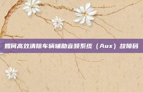 如何高效清除车辆辅助音频系统（Aux）故障码