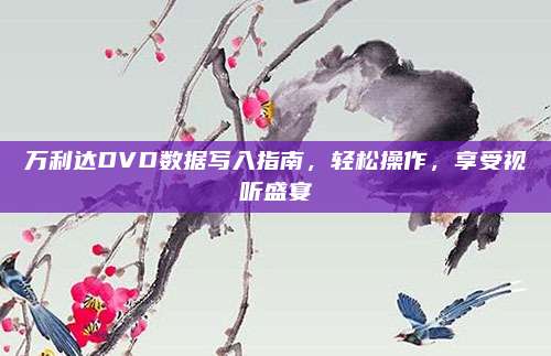 万利达DVD数据写入指南，轻松操作，享受视听盛宴