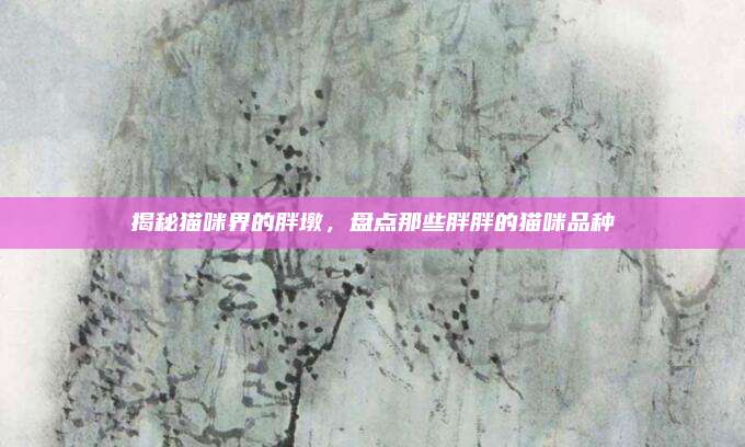 揭秘猫咪界的胖墩，盘点那些胖胖的猫咪品种