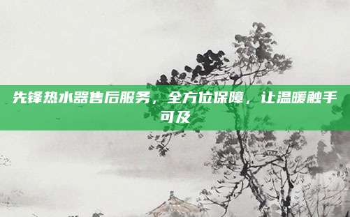 先锋热水器售后服务，全方位保障，让温暖触手可及
