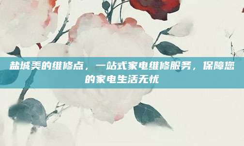 盐城美的维修点，一站式家电维修服务，保障您的家电生活无忧