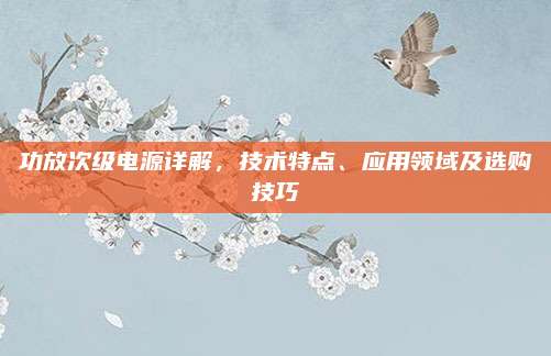 功放次级电源详解,技术特点、应用领域及选购技巧