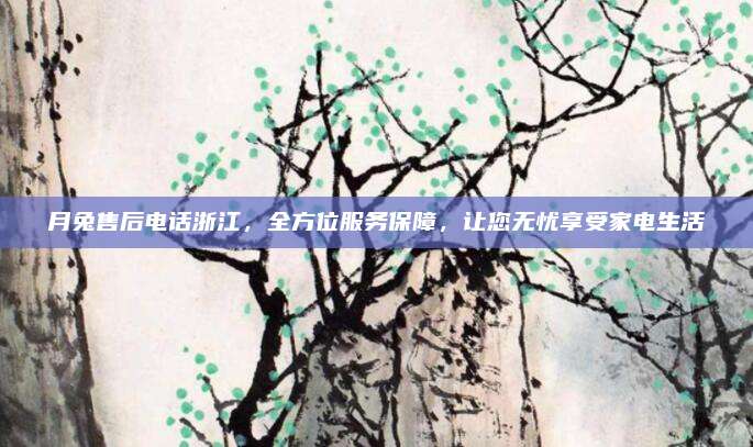 月兔售后电话浙江，全方位服务保障，让您无忧享受家电生活
