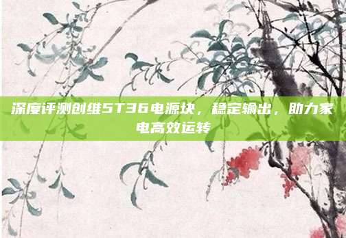 深度评测创维5T36电源块，稳定输出，助力家电高效运转