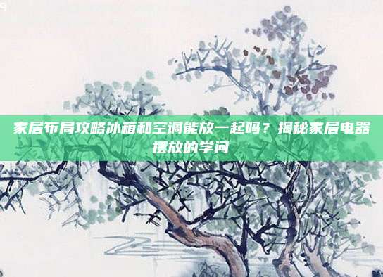 家居布局攻略冰箱和空调能放一起吗？揭秘家居电器摆放的学问