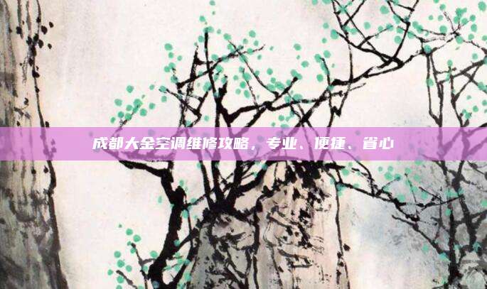 成都大金空调维修攻略，专业、便捷、省心