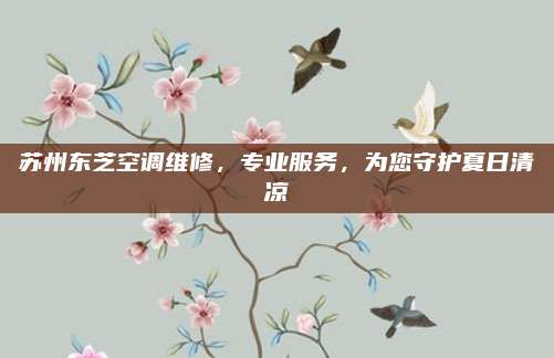 苏州东芝空调维修，专业服务，为您守护夏日清凉