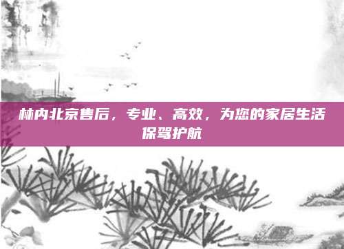 林内北京售后，专业、高效，为您的家居生活保驾护航