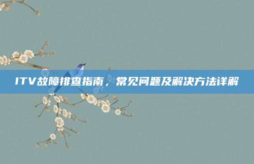 ITV故障排查指南，常见问题及解决方法详解