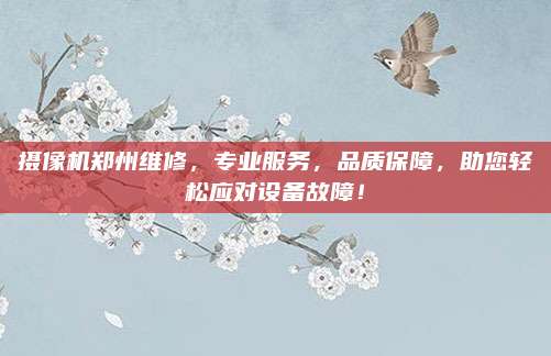 摄像机郑州维修，专业服务，品质保障，助您轻松应对设备故障！