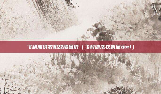 飞利浦洗衣机故障图形（飞利浦洗衣机显示e1）