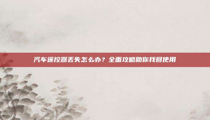 汽车遥控器丢失怎么办？全面攻略助你找回使用