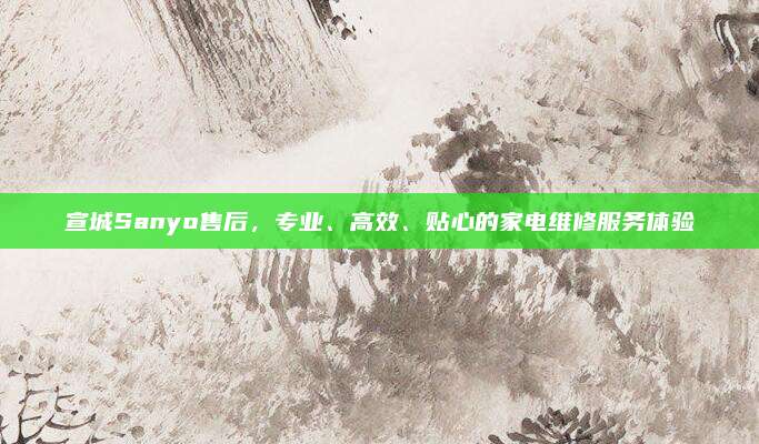 宣城Sanyo售后，专业、高效、贴心的家电维修服务体验