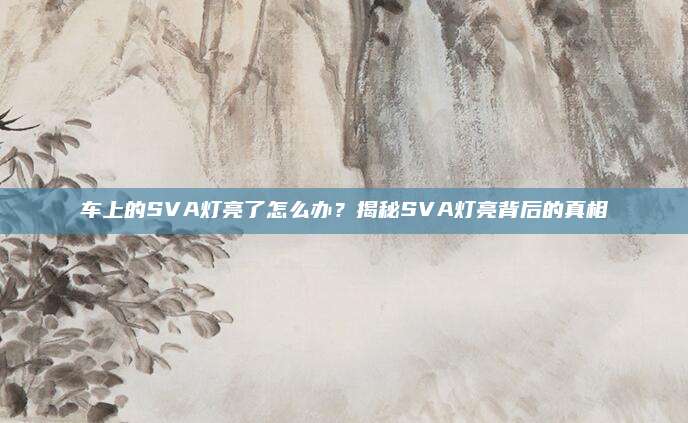 车上的SVA灯亮了怎么办？揭秘SVA灯亮背后的真相