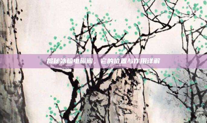 揭秘冰箱电磁阀，它的位置与作用详解