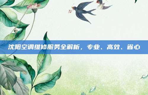 沈阳空调维修服务全解析，专业、高效、省心