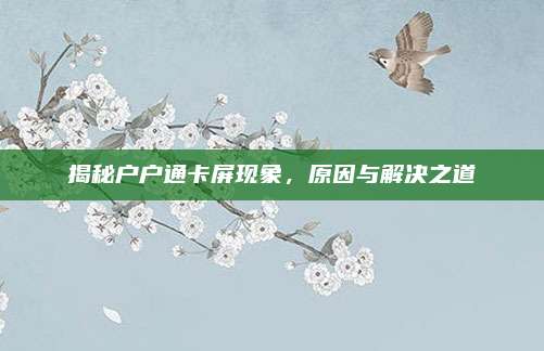 揭秘户户通卡屏现象，原因与解决之道