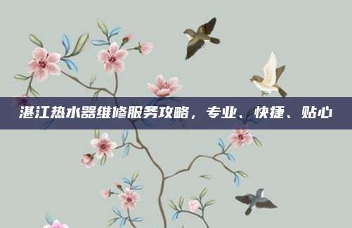 湛江热水器维修服务攻略，专业、快捷、贴心