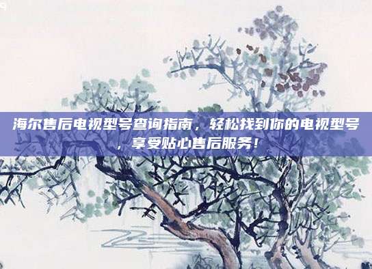 海尔售后电视型号查询指南，轻松找到你的电视型号，享受贴心售后服务！