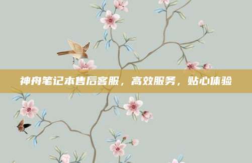 神舟笔记本售后客服，高效服务，贴心体验