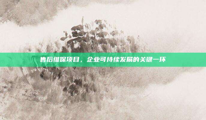 售后维保项目，企业可持续发展的关键一环