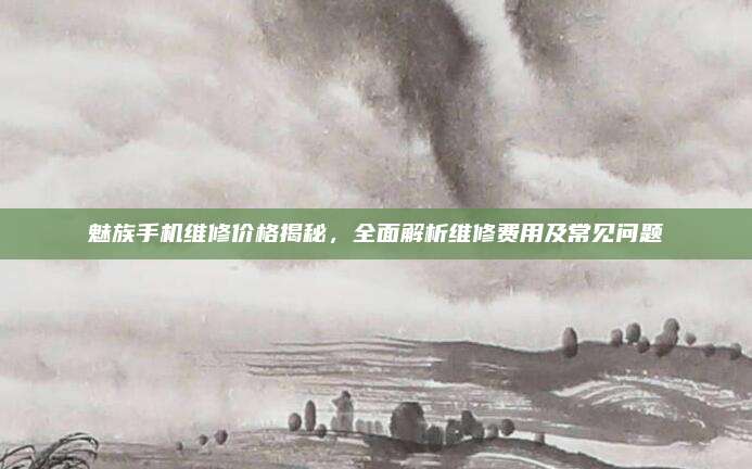 魅族手机维修价格揭秘，全面解析维修费用及常见问题