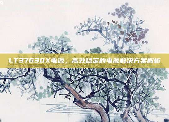 LT37630X电源，高效稳定的电源解决方案解析