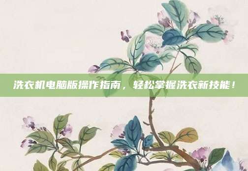 洗衣机电脑版操作指南，轻松掌握洗衣新技能！
