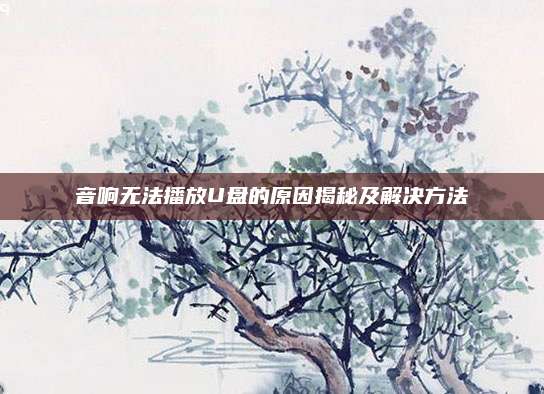 音响无法播放U盘的原因揭秘及解决方法