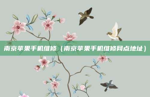 南京苹果手机维修（南京苹果手机维修网点地址）