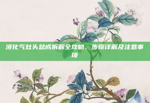 液化气灶头总成拆解全攻略，步骤详解及注意事项