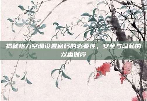 揭秘格力空调设置密码的必要性，安全与隐私的双重保障