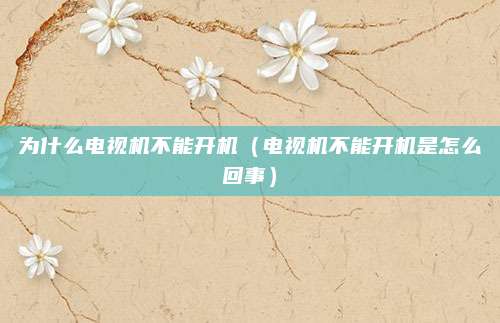 为什么电视机不能开机（电视机不能开机是怎么回事）