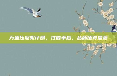 万盛压缩机评测，性能卓越，品质值得信赖