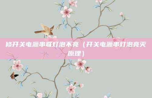 修开关电源串联灯泡不亮（开关电源串灯泡亮灭原理）