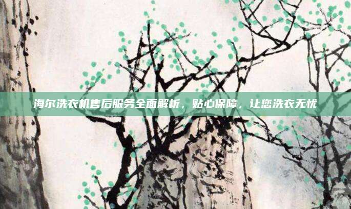 海尔洗衣机售后服务全面解析，贴心保障，让您洗衣无忧